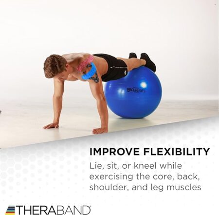 TheraBand Pro Series Swissball - 30inch - Image 2